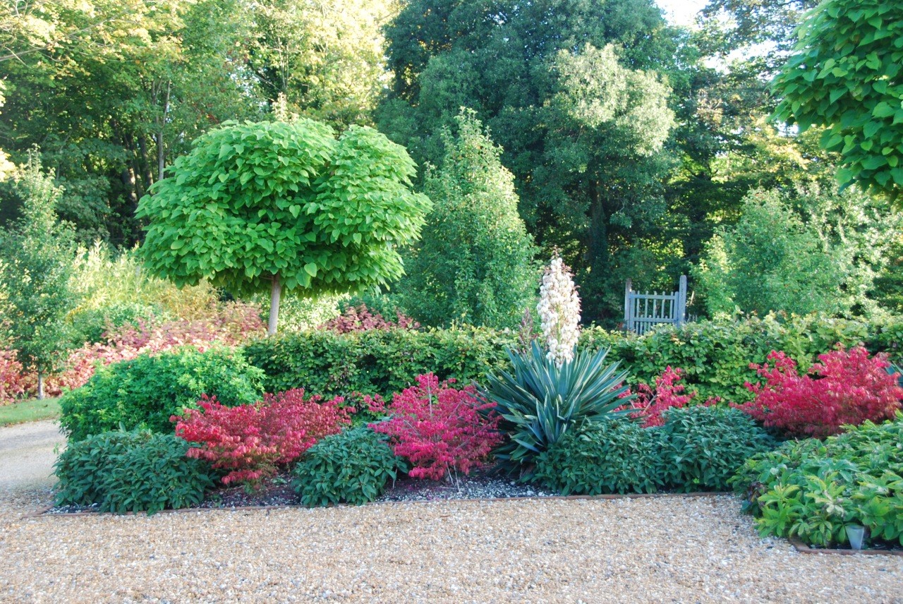 Front entrance courtyard planting – Sussex